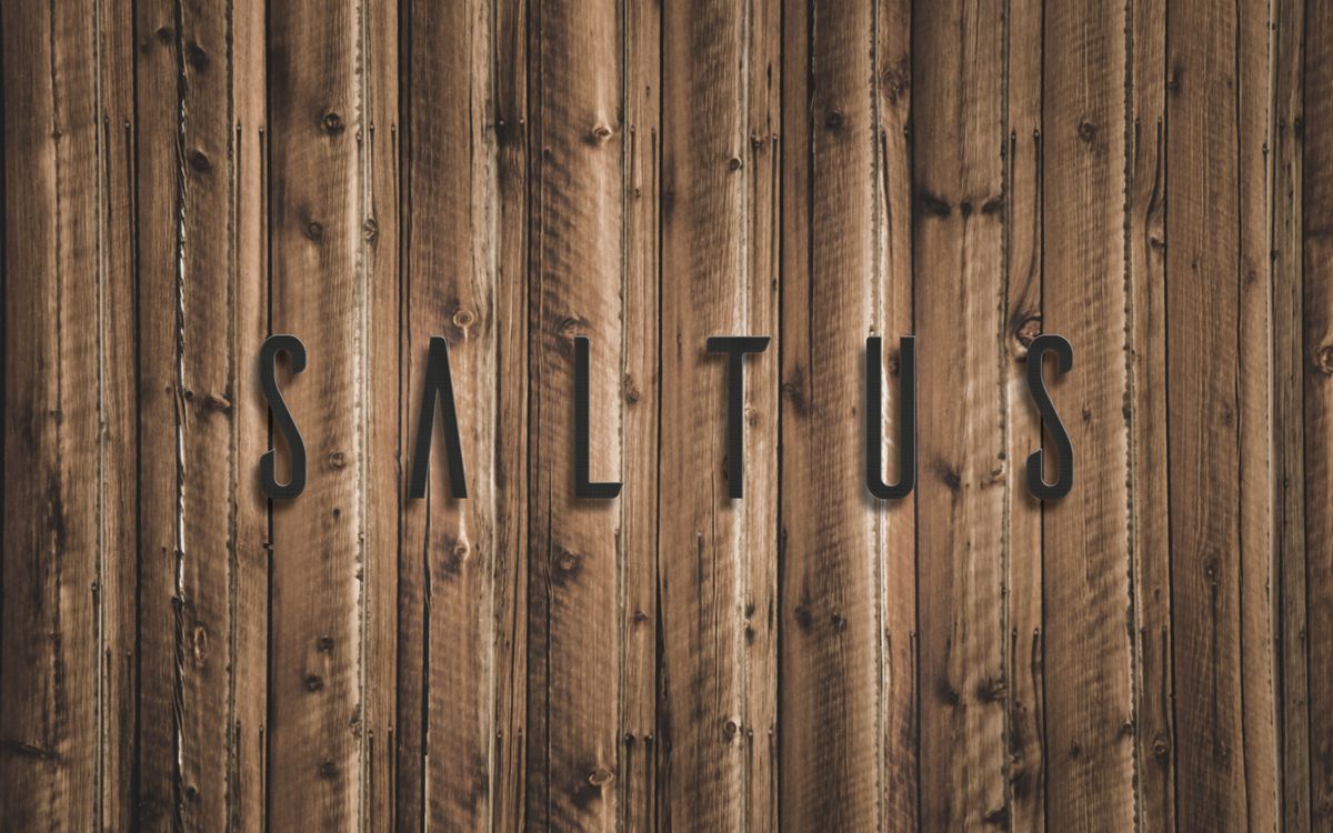 Branding & communications agency - for Hotel Saltus